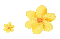 null null