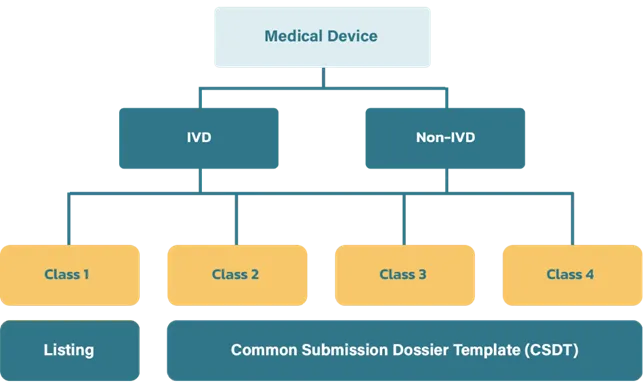 null 2025.06.13图01.png